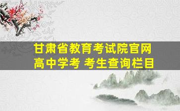 甘肃省教育考试院官网 高中学考 考生查询栏目